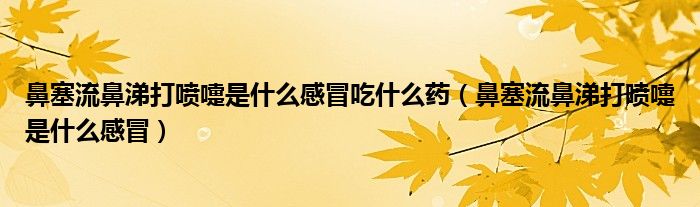 鼻塞流鼻涕打噴嚏是什么感冒吃什么藥（鼻塞流鼻涕打噴嚏是什么感冒）