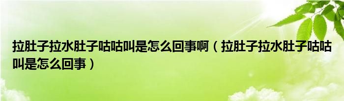 拉肚子拉水肚子咕咕叫是怎么回事?。ɡ亲永亲庸竟窘惺窃趺椿厥拢? /></span>
		<span id=