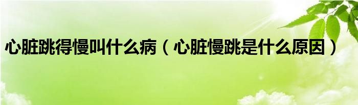 心臟跳得慢叫什么?。ㄐ呐K慢跳是什么原因）