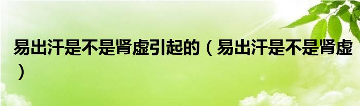 易出汗是不是腎虛引起的（易出汗是不是腎虛）