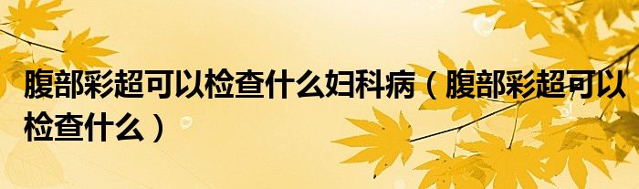 腹部彩超可以檢查什么婦科?。ǜ共坎食梢詸z查什么）