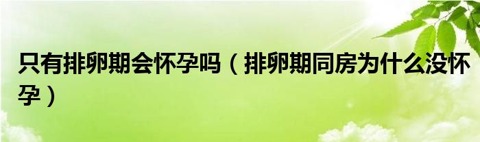 只有排卵期會(huì)懷孕嗎（排卵期同房為什么沒懷孕）