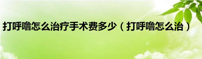 打呼嚕怎么治療手術(shù)費(fèi)多少（打呼嚕怎么治）