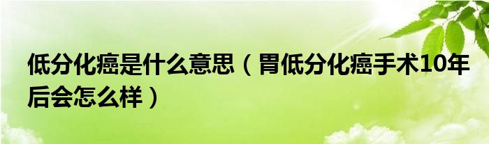 低分化癌是什么意思（胃低分化癌手術(shù)10年后會怎么樣）