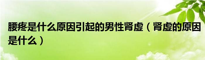 腰疼是什么原因引起的男性腎虛（腎虛的原因是什么）