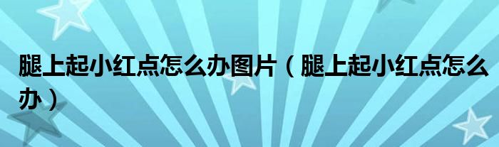 腿上起小紅點怎么辦圖片（腿上起小紅點怎么辦）