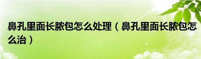 鼻孔里面長膿包怎么處理（鼻孔里面長膿包怎么治）