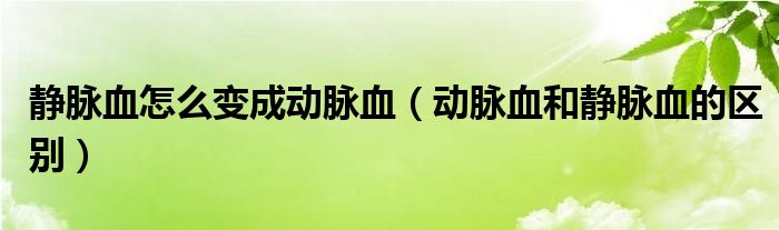 靜脈血怎么變成動(dòng)脈血（動(dòng)脈血和靜脈血的區(qū)別）