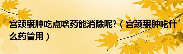 宮頸囊腫吃點啥藥能消除呢?（宮頸囊腫吃什么藥管用）