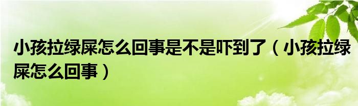 小孩拉綠屎怎么回事是不是嚇到了（小孩拉綠屎怎么回事）