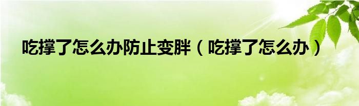 吃撐了怎么辦防止變胖（吃撐了怎么辦）