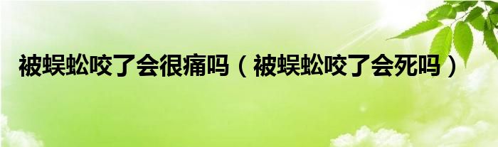 被蜈蚣咬了會很痛嗎（被蜈蚣咬了會死嗎）