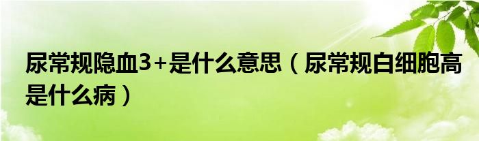 尿常規(guī)隱血3+是什么意思（尿常規(guī)白細胞高是什么?。? /></span>
		<span id=