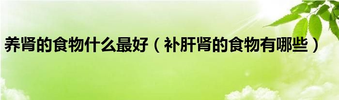 養(yǎng)腎的食物什么最好（補(bǔ)肝腎的食物有哪些）