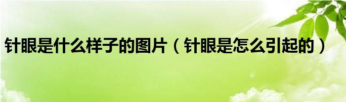 針眼是什么樣子的圖片（針眼是怎么引起的）