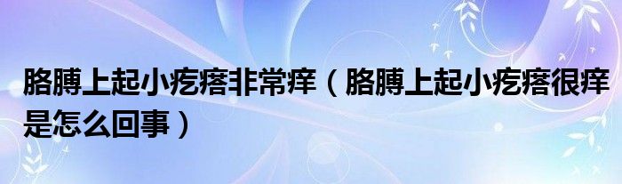 胳膊上起小疙瘩非常癢（胳膊上起小疙瘩很癢是怎么回事）