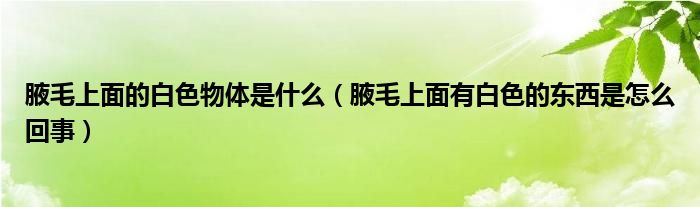 腋毛上面的白色物體是什么（腋毛上面有白色的東西是怎么回事）