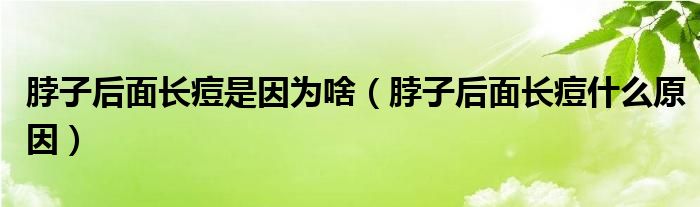 脖子后面長痘是因為啥（脖子后面長痘什么原因）