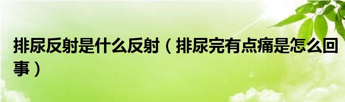 排尿反射是什么反射（排尿完有點痛是怎么回事）