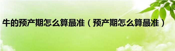 牛的預(yù)產(chǎn)期怎么算最準(zhǔn)（預(yù)產(chǎn)期怎么算最準(zhǔn)）