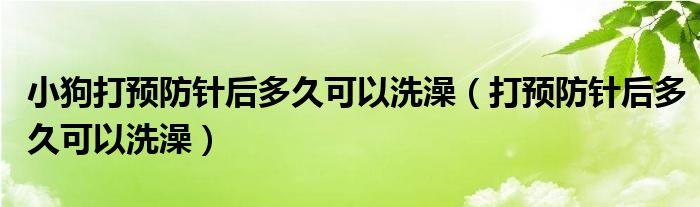 小狗打預防針后多久可以洗澡（打預防針后多久可以洗澡）