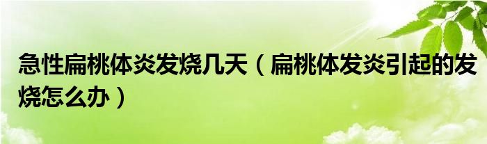 急性扁桃體炎發(fā)燒幾天（扁桃體發(fā)炎引起的發(fā)燒怎么辦）