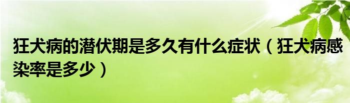 狂犬病的潛伏期是多久有什么癥狀（狂犬病感染率是多少）