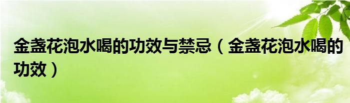 金盞花泡水喝的功效與禁忌（金盞花泡水喝的功效）