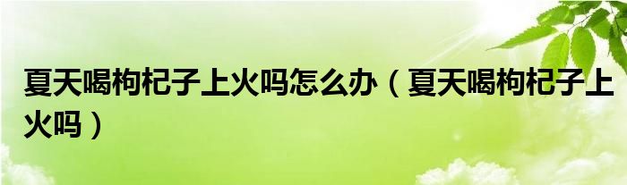 夏天喝枸杞子上火嗎怎么辦（夏天喝枸杞子上火嗎）