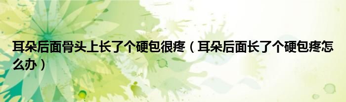 耳朵后面骨頭上長(zhǎng)了個(gè)硬包很疼（耳朵后面長(zhǎng)了個(gè)硬包疼怎么辦）