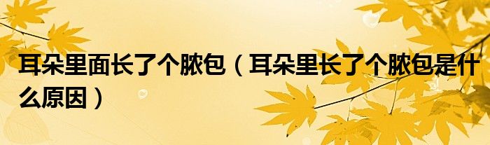 耳朵里面長了個(gè)膿包（耳朵里長了個(gè)膿包是什么原因）