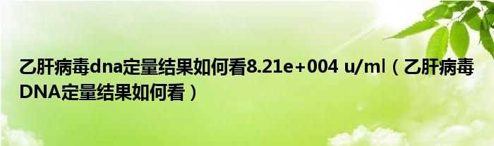 乙肝病毒dna定量結(jié)果如何看8.21e+004 u/ml（乙肝病毒DNA定量結(jié)果如何看）