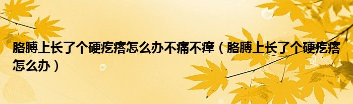 胳膊上長了個(gè)硬疙瘩怎么辦不痛不癢（胳膊上長了個(gè)硬疙瘩怎么辦）