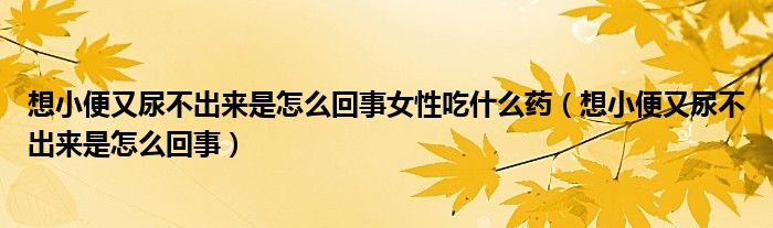 想小便又尿不出來是怎么回事女性吃什么藥（想小便又尿不出來是怎么回事）