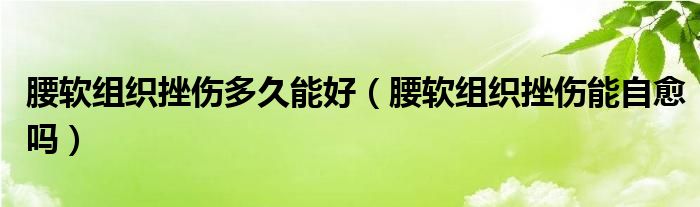 腰軟組織挫傷多久能好（腰軟組織挫傷能自愈嗎）