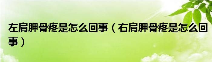 左肩胛骨疼是怎么回事（右肩胛骨疼是怎么回事）