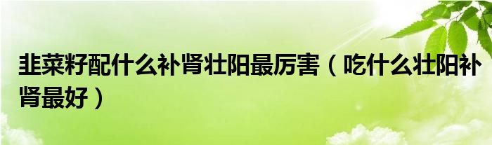 韭菜籽配什么補(bǔ)腎壯陽(yáng)最厲害（吃什么壯陽(yáng)補(bǔ)腎最好）