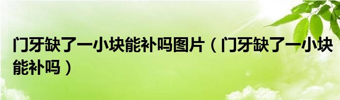 門牙缺了一小塊能補(bǔ)嗎圖片（門牙缺了一小塊能補(bǔ)嗎）