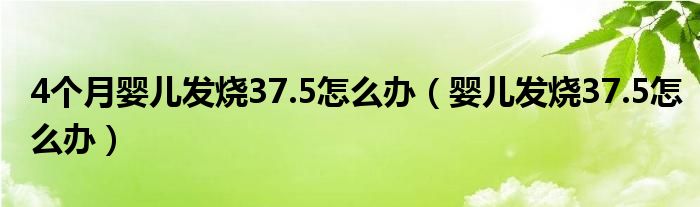 4個月嬰兒發(fā)燒37.5怎么辦（嬰兒發(fā)燒37.5怎么辦）