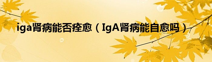 iga腎病能否痊愈（IgA腎病能自愈嗎）