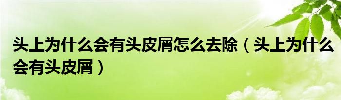 頭上為什么會有頭皮屑怎么去除（頭上為什么會有頭皮屑）