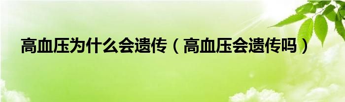 高血壓為什么會(huì)遺傳（高血壓會(huì)遺傳嗎）