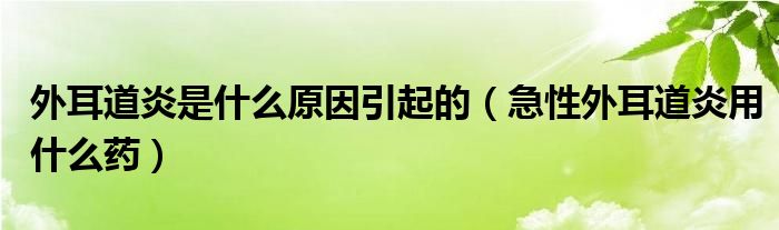 外耳道炎是什么原因引起的（急性外耳道炎用什么藥）