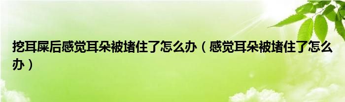 挖耳屎后感覺(jué)耳朵被堵住了怎么辦（感覺(jué)耳朵被堵住了怎么辦）