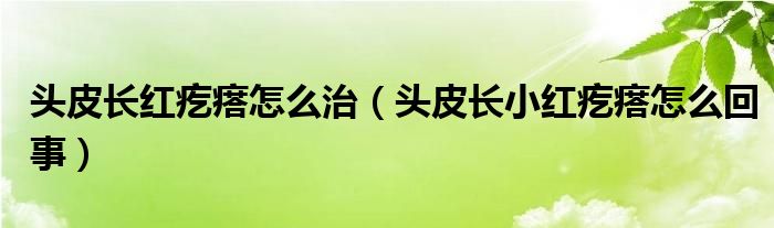 頭皮長(zhǎng)紅疙瘩怎么治（頭皮長(zhǎng)小紅疙瘩怎么回事）