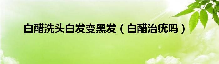 白醋洗頭白發(fā)變黑發(fā)（白醋治疣嗎）