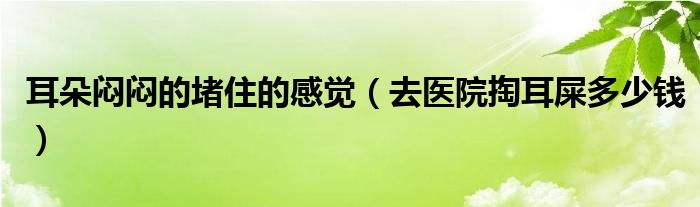 耳朵悶悶的堵住的感覺(jué)（去醫(yī)院掏耳屎多少錢）