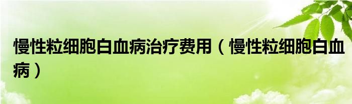 慢性粒細(xì)胞白血病治療費(fèi)用（慢性粒細(xì)胞白血?。? /></span>
		<span id=