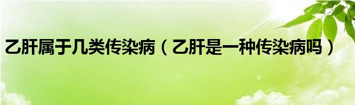 乙肝屬于幾類傳染?。ㄒ腋问且环N傳染病嗎）