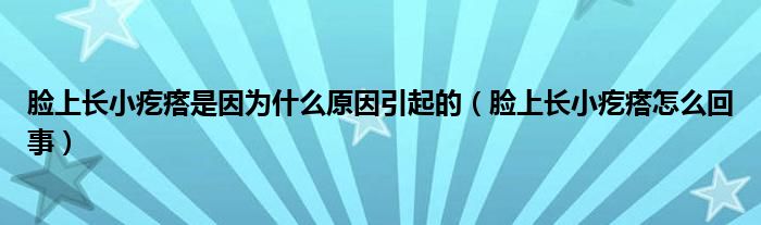 臉上長小疙瘩是因為什么原因引起的（臉上長小疙瘩怎么回事）